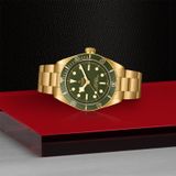 TUDOR Black Bay 58 18k M79018V-0006 image 2 thumbnail