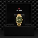 TUDOR Black Bay 58 18k M79018V-0006 image 3 thumbnail