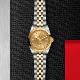 TUDOR Black Bay 31 S&G M79603-0008 image 1 thumbnail