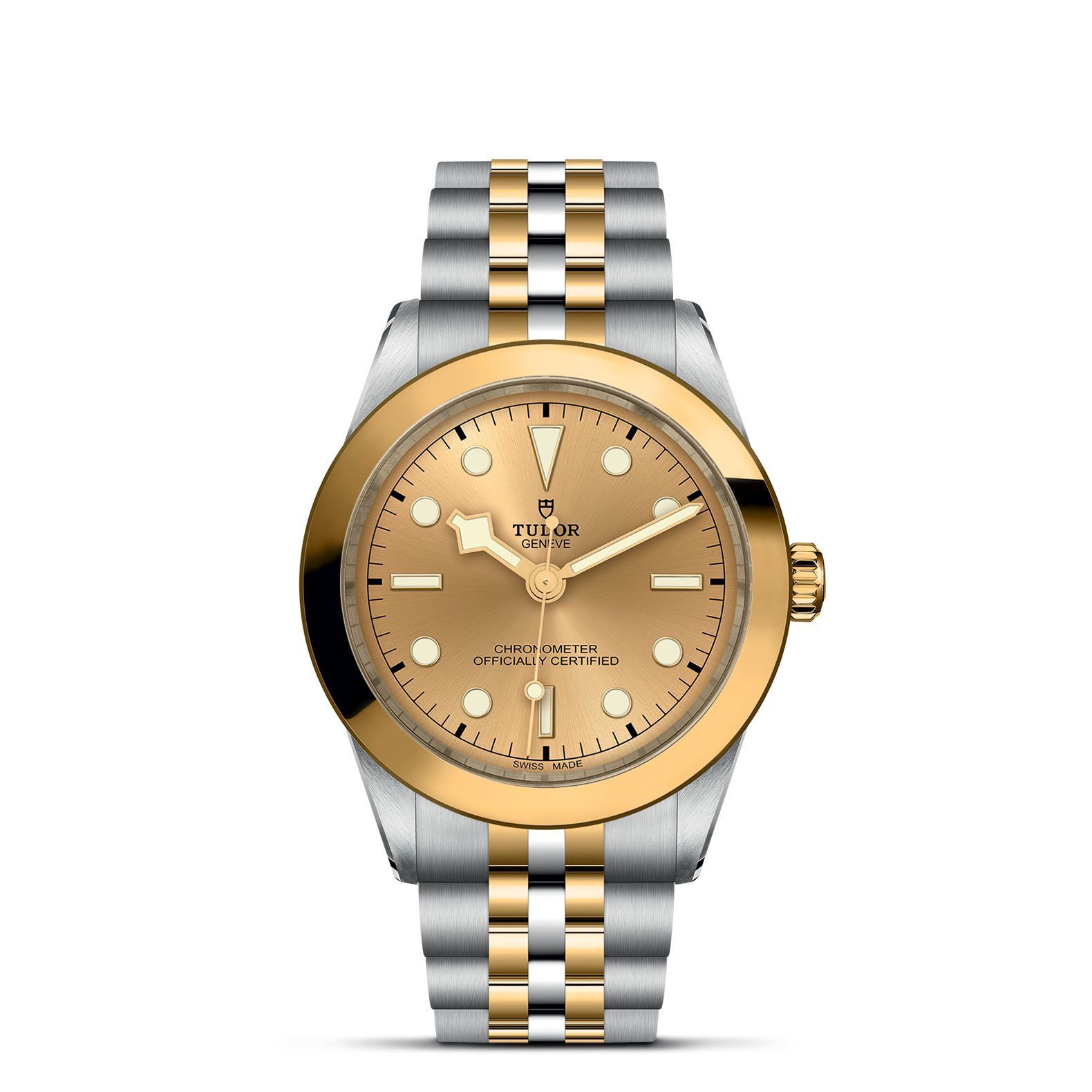 TUDOR Black Bay 39 S&G M79663-0005