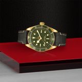TUDOR Black Bay Fifty-Eight 18k M79018V-0001 image 2 thumbnail