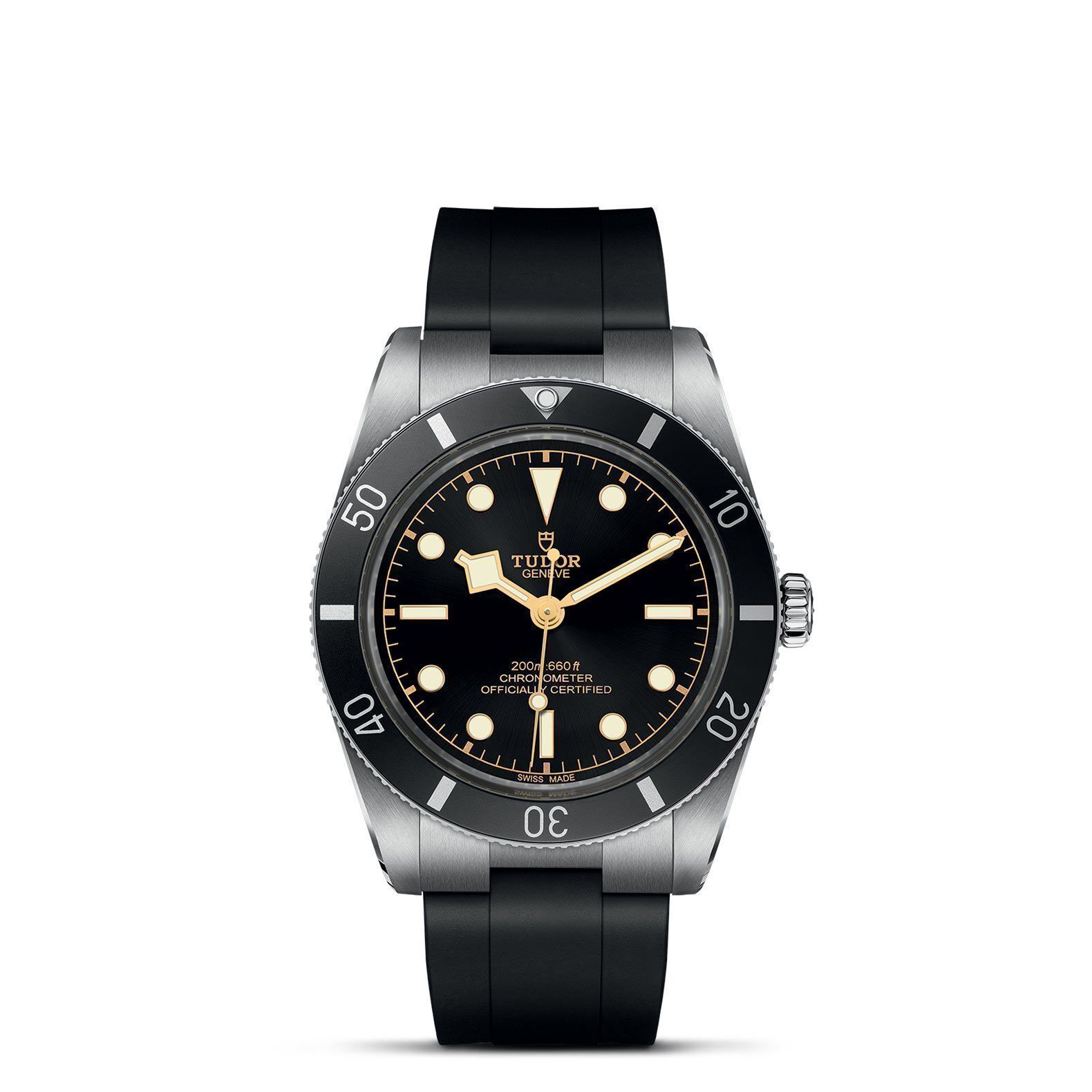 TUDOR Black Bay 54 M79000N-0002