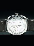 Panerai Radiomir PAM00373 Platinum Special Edition image 3 thumbnail