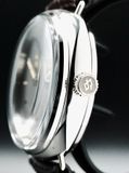 Panerai Radiomir PAM00373 Platinum Special Edition image 2 thumbnail