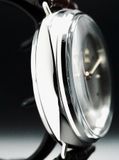 Panerai Radiomir PAM00373 Platinum Special Edition image 1 thumbnail