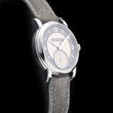 Schwarz Etienne Roma Synergy Grey WROVMA43SSCUBCLTD-A image 1 thumbnail