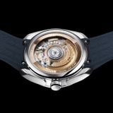 Carl Suchy & Söhne Belvedere Danube image 2 thumbnail