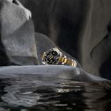 Longines Hydroconquest Sunray Black Dial 41mm L3.781.3.56.7 image 4 thumbnail