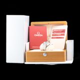 Omega 220.10.40.20.06.001 Railmaster Co-Axial Master Chronometer 40mm Grey Dial image 8 thumbnail