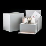 Michele Deco Mid Two-Tone Diamond Dial Watch MWW06V000042 image 9 thumbnail