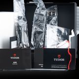 TUDOR Pelagos 42mm LHD Titanium and Steel M25610TNL-0001 image 9 thumbnail