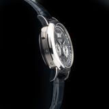 A. Lange & Söhne Detograph Perpetual 410.030.E/L S4103AP image 1 thumbnail