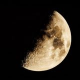 Mühle Glashütte Teutonia IV Moonphase On Bracelet M1-44-03-MB image 4 thumbnail