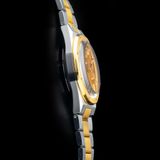 Nivada Grenchen F77 Tiger Eye Bicolor Mark I image 1 thumbnail