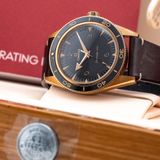Omega Seamaster 300 Co-Axial Master Chronometer Heritage 234.92.41.21.10.001 image 6 thumbnail