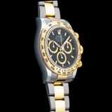 Rolex Cosmograph Daytona M126503-0003 image 1 thumbnail