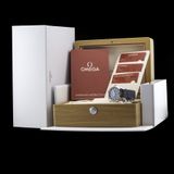 Omega Seamaster Aqua Terra 220.12.41.21.03.002 image 7 thumbnail