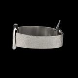 Dennsion Dual Time Capsule Collection Ll image 4 thumbnail