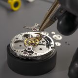 Anton Suhanov Flamingo image 3 thumbnail