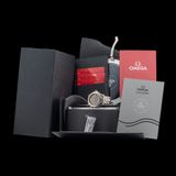 Omega Seamaster Diver 300M 210.60.42.20.99.001 image 10 thumbnail