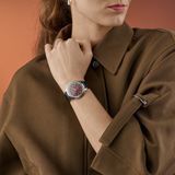 Frederique Constant Classics Moneta Solarmetre FC-120BRG3S6 image 5 thumbnail