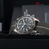 TUDOR Black Bay Fifty-Eight M79010SG-0002 image 5 thumbnail
