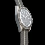 TUDOR Black Bay Fifty-Eight M79010SG-0002 image 1 thumbnail